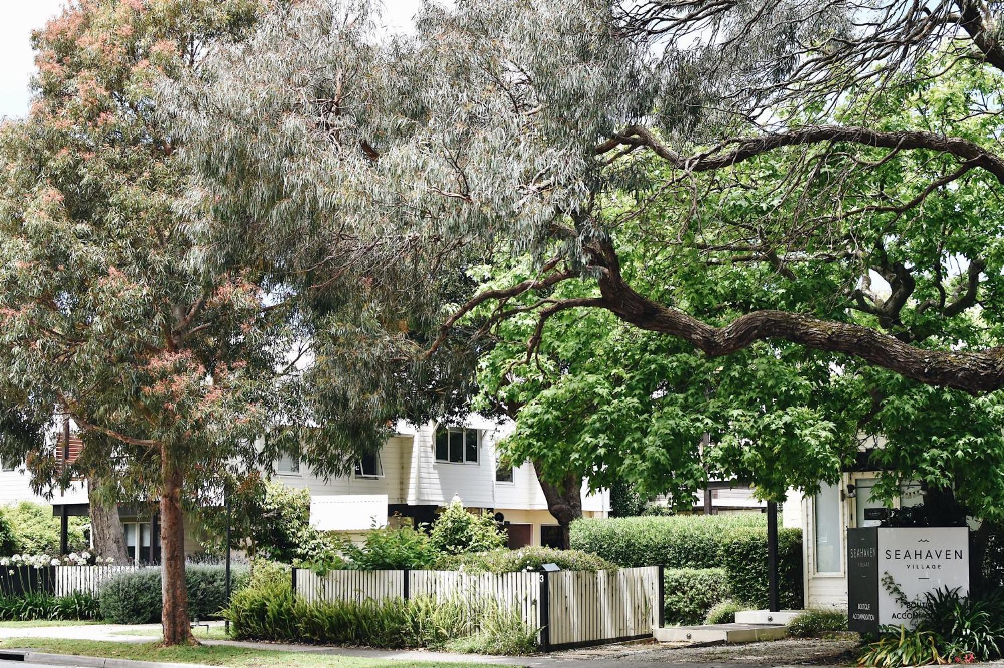 Seahaven Village Barwon Heads Dış mekan fotoğraf